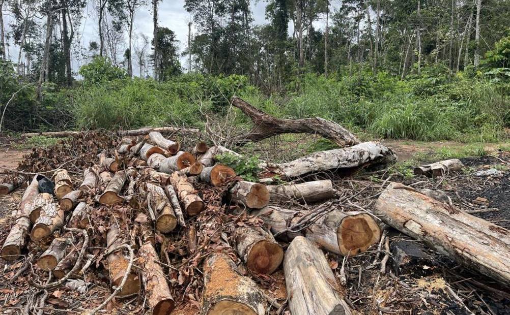 PM resgata duas pessoas que trabalhavam em regime de escravidão