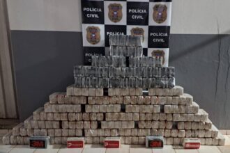 Polícia apreende 458 quilos de drogas em Vila Bela da Santíssima Trindade-MT