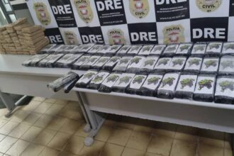 Polícia apreende caminhão transportando 100 tabletes de cocaína