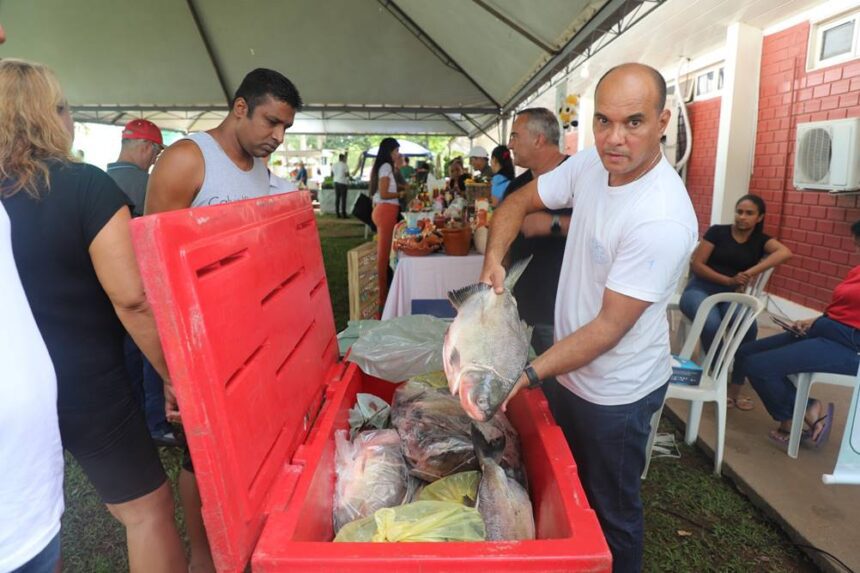 VG SANTO PEIXE: Pescado a preços acessíveis em Várzea Grande!