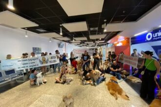 Donos de pets fazem protesto em aeroporto de VG pela morte do cão Joca