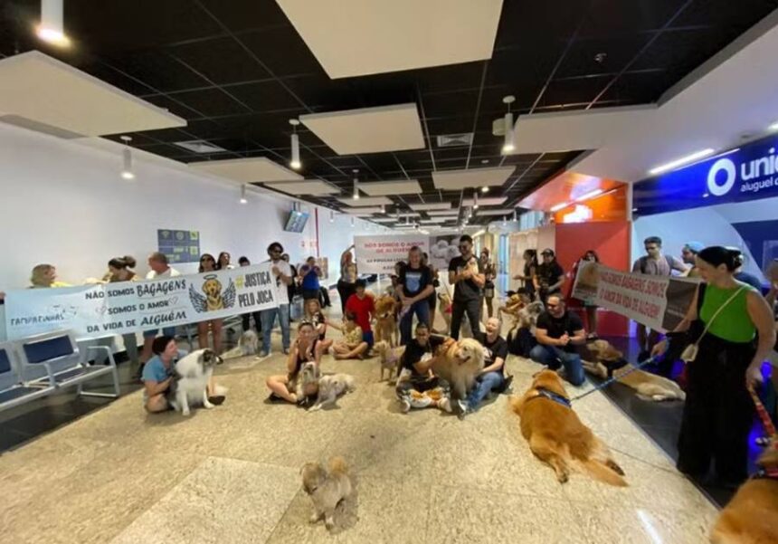 Donos de pets fazem protesto em aeroporto de VG pela morte do cão Joca