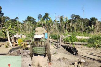 Polícia multa fazendeiro em R$ 2,8 bi por desmatamento químico