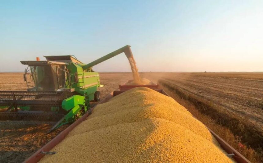 Valor da produção do Agro cai pela primeira vez em cinco anos