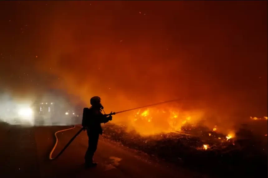 Focos de incêndio no Pantanal em 2024 já superam os registros de 2023