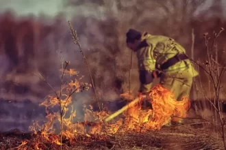 INPE: Quantidade de incêndios no Pantanal aumentaram 900% em 2024