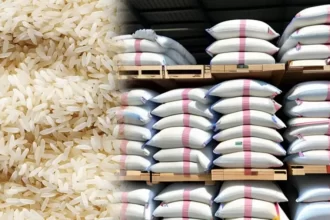 Justiça suspende leilão do governo para compra de arroz importado