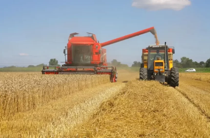 Agronegócio brasileiro cresce quase 6% no primeiro semestre de 2024