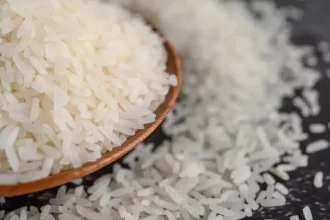 Após polêmica, governo desiste 'por enquanto' de leilão para importar arroz