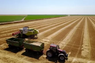 Exportações do agronegócio atinge US$ 82,39 bilhões no 1º trimestre de 2024