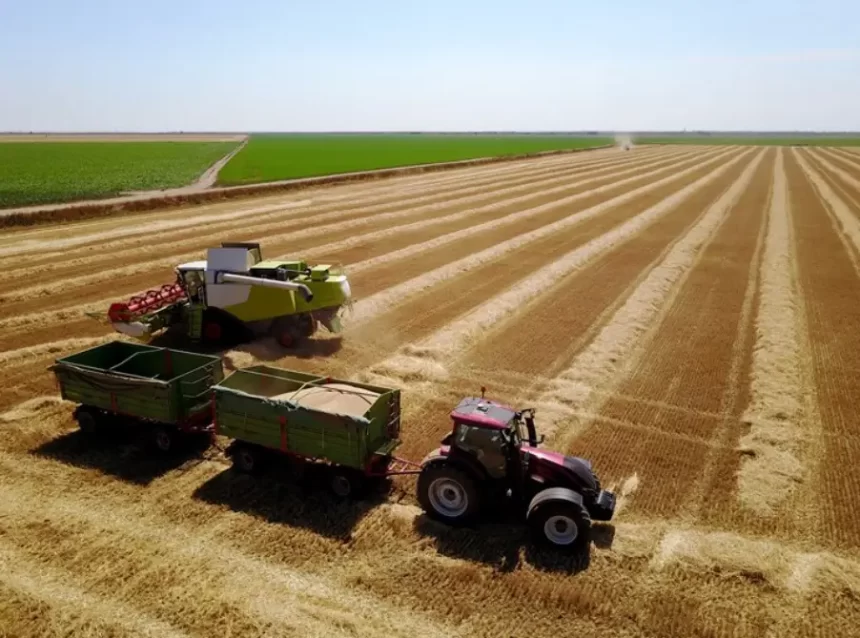 Exportações do agronegócio atinge US$ 82,39 bilhões no 1º trimestre de 2024