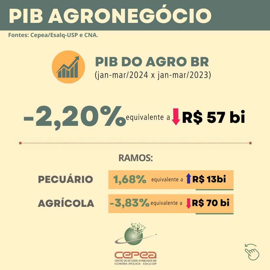 PIB DO AGRONEGOCIO2