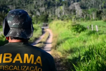 servidores ambientais federais entram em greve