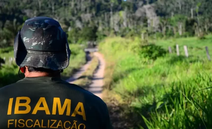 servidores ambientais federais entram em greve