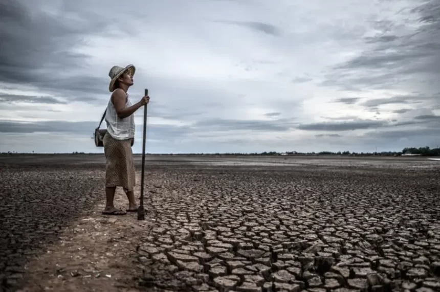 Dados mostram que Brasil enfrenta a maior seca da história