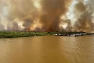 Incêndio devasta Pantanal do Mato Grosso do Sul após acidente de caminhão