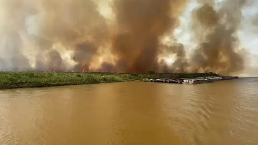 Incêndio devasta Pantanal do Mato Grosso do Sul após acidente de caminhão