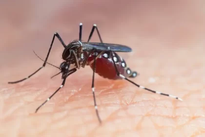 Sem vacina, Brasil ultrapassa a marca de 5 mil mortes por dengue em 2024