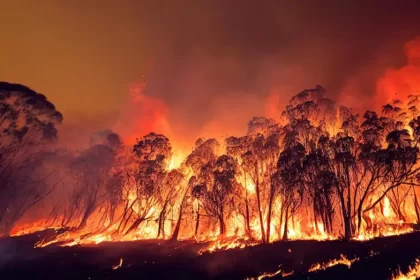 Fogo devasta terras indígenas Capoto Jarina e Parque Indígena Xingu em MT