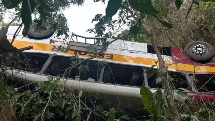 Ônibus escolar cai de ribanceira e deixa 18 mortos e 28 feridos