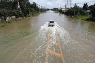 Chuvas no MT - moradores registram peixes nadando dentro de casa