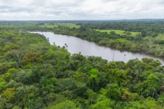 Governo libera 14% do território brasileiro para exploração