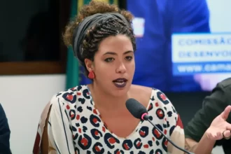 Deputada do PSOL propõe auxílio para brasileiros deportados