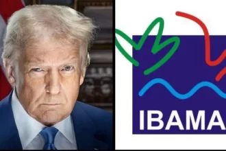 Donald Trump suspende verba repassada da USAID para o Ibama no Brasil