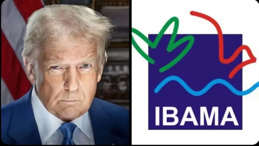 Donald Trump suspende verba repassada da USAID para o Ibama no Brasil