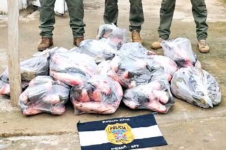 Decon apreende 500 kg de peixes em decomposição em restaurante de Cuiabá