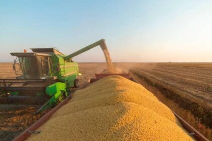 Valor da produção do Agro cai pela primeira vez em cinco anos