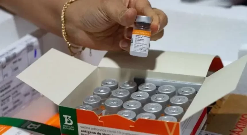 CoronaVac encalha e governo Lula desperdiça R$260 milhões em vacinas