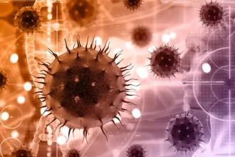 HKU5-CoV-2 - Cientistas descobrem novo Coronavírus com potencial de infecção em humanos