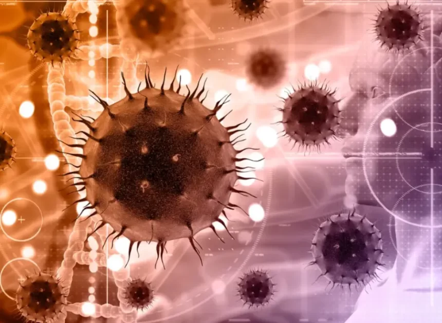 HKU5-CoV-2 - Cientistas descobrem novo Coronavírus com potencial de infecção em humanos