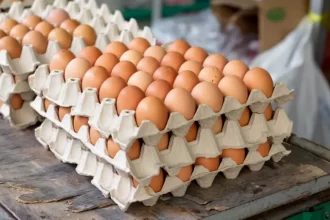 Preço dos ovos deve continuar subindo nos próximos meses, alerta ABPA