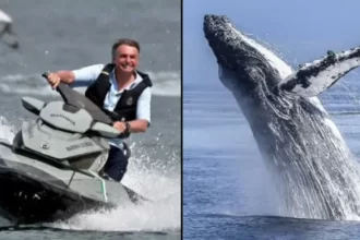 MPF arquiva inquérito de Bolsonaro sobre importunação de baleia