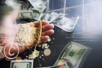 PIB do agronegócio brasileiro fecha 2024 com alta de quase 2% e movimenta R$ 3 trilhões