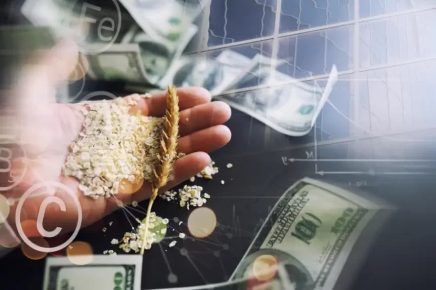 PIB do agronegócio brasileiro fecha 2024 com alta de quase 2% e movimenta R$ 3 trilhões