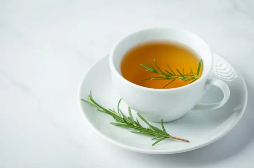 Alecrim: o poderoso chá vai turbinar a sua memória