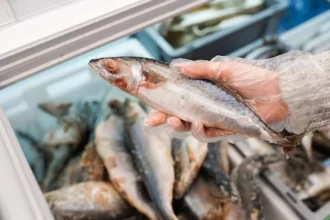 Após tarifa de Trump, empresas americanas cancelam compra de pescados brasileiro; EUA compram 70% da produção