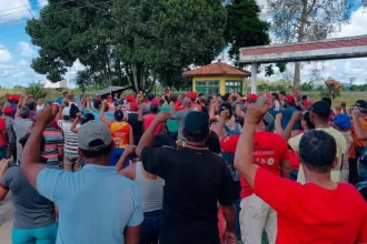 Invasão do MST em estação de pesquisa na Bahia interrompe atividades científicas