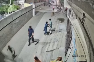 Paquistão: Leão de estimação pula muro e ataca pessoas na rua [Vídeo]