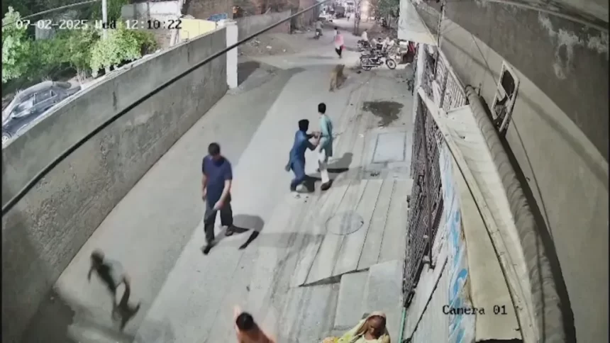 Paquistão: Leão de estimação pula muro e ataca pessoas na rua [Vídeo]