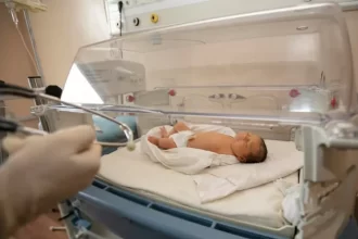 Recém-nascidos receberem soro contra picada de cobra em vez de vacina em SC