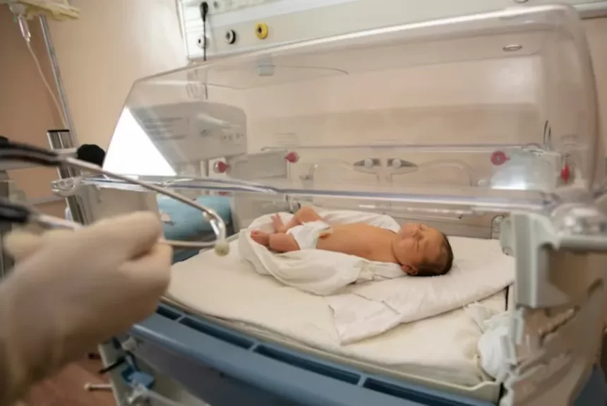 Recém-nascidos receberem soro contra picada de cobra em vez de vacina em SC