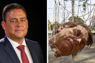 Ex-presidente da OAB, Felipe Santa Cruz, defende “bala na nuca” de Jair Bolsonaro