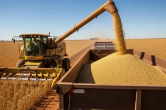 Governo chinês compra quantidade recorde de soja do Brasil em 2025