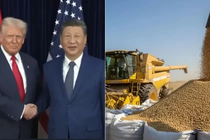 Acordo entre EUA e China preocupa produtores de soja de Mato Grosso