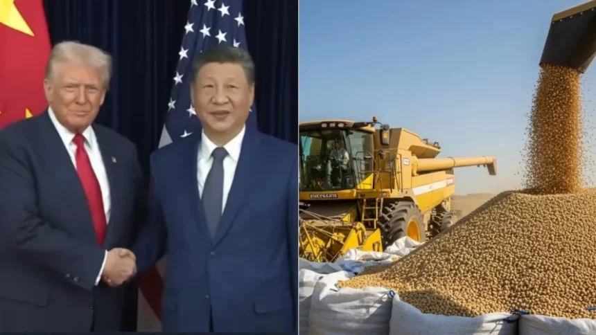 Acordo entre EUA e China preocupa produtores de soja de Mato Grosso