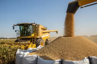 Brasil dobra exportação de soja para a China e ultrapassa EUA